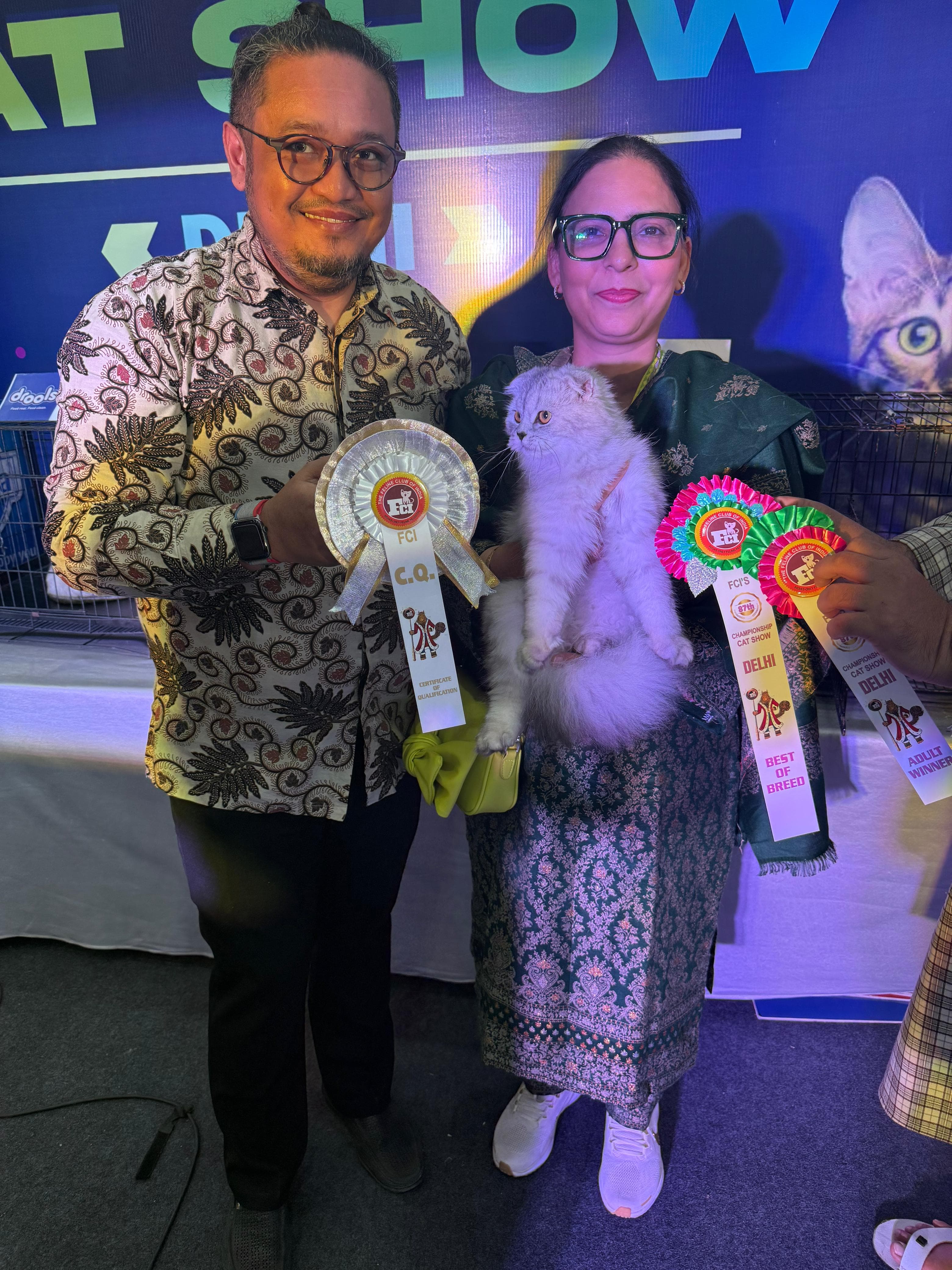 Championship-class Khan Kittens cat