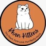Khan Kittens